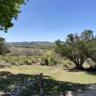 Great view from the patio