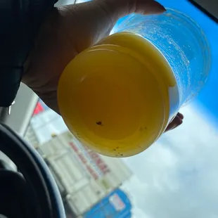 My orange juice  with a fly in it