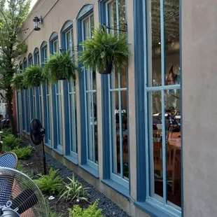 Fans for the patio and again, the windows!