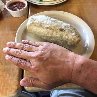 Carne Asada Burrito