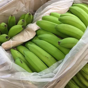 a bunch of green bananas in a plastic bag
