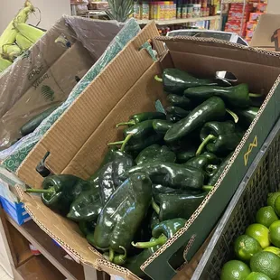 Fresh super sized poblanos