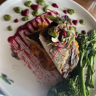 Mediterranean Sea Bass