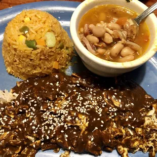 Chicken Mole Plate??!  It's usually served with a chicken breast, not shredded chicken. Server stated they were out of breasts.