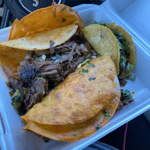 Regular taco vs birria tacos. Birria ones are huge