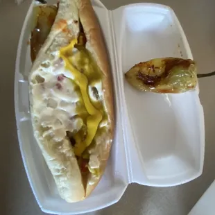 Regular Perrito Sonoran. The chile gueritos are not too spicy, just right and they season them too.