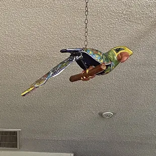 a parrot hanging from the ceiling