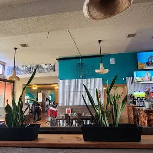 View from our booth, front door on the left, and the bar and kitchen entrance along the blue/green wall.