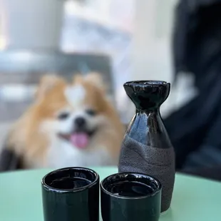 Kikumasamune Junmai | $12/shot