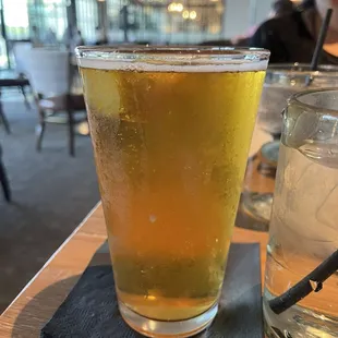 Cold Modelo on tap
