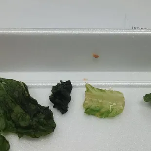 THIS IS WHAT YOU CAN EXPECT FOR PRODUCE