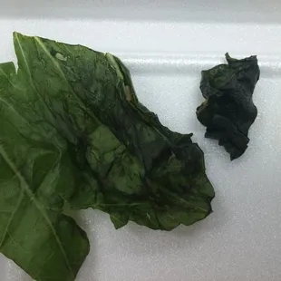 THIS IS WHAT YOU CAN EXPECT FOR PRODUCE