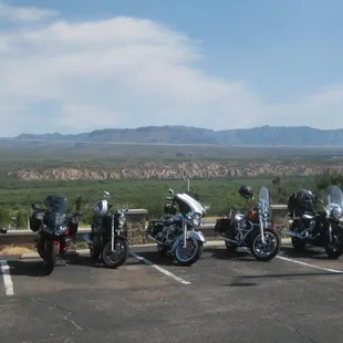 Bessie taking center stage........as usual.