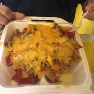 21. Nachos con Carne