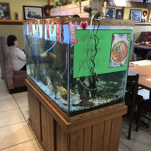Fish tank/homemade pozole on Saturday and Sunday