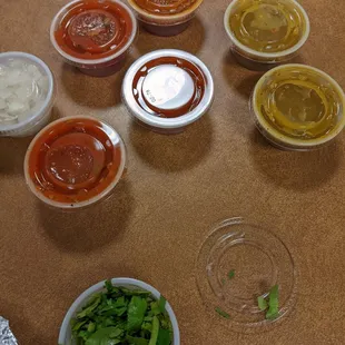 Salsa, cilantro, and onions