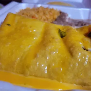 Close up of the chimichanga.