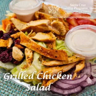Grilled chicken salad with cranberries, lettuce, onion, carrot, and red onion