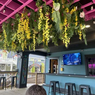 a bar with flowers hanging from the ceiling
