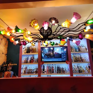 Beautiful tequila bar