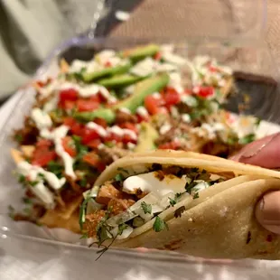 a hand holding a taco