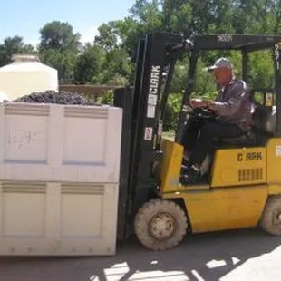 Pat Johnson during harvest