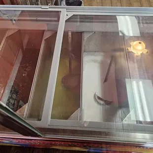 sushi and sashimi, interior