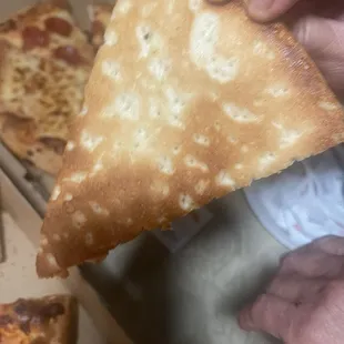 Normal pizza