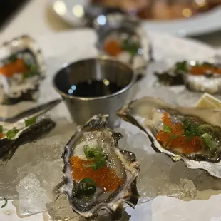 Oysters - much better than hau tree's!