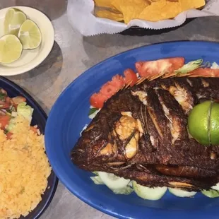 grilled seafood, grilled fish, fish, food, seafood