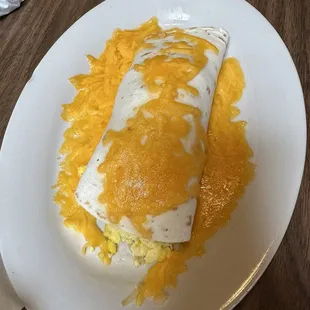 Kids Burrito