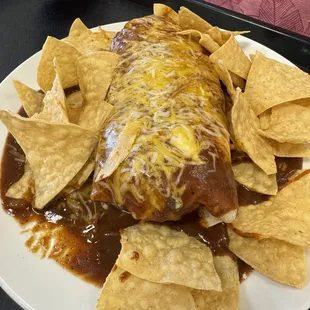 Wet Burrito