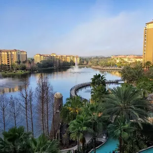 Sorry, no picture of the pizza. But here's the view from the balcony at Club Wyndham Bonnet Creek where we got our pizza delivered.