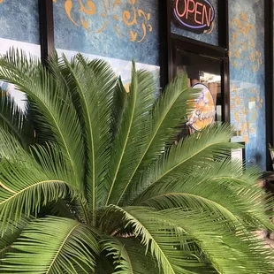 Front of the restaurant