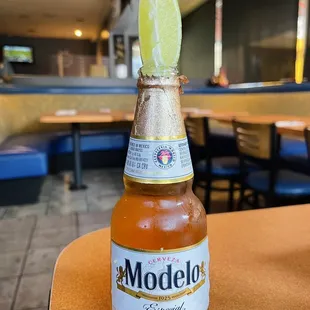 Modelo