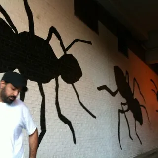 Amit S.