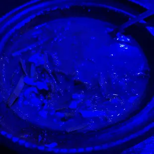 Mystery tortilla soup