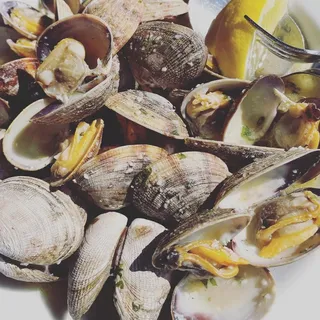 Steamed Clams