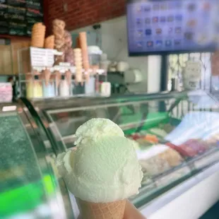 Coconut Gelato