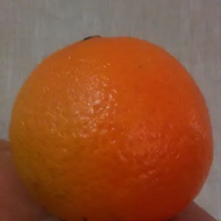 D Y.