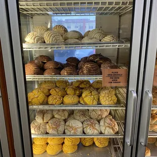 Display case with conchas