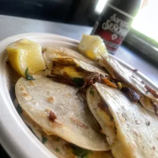 Mulitas of alpastor.