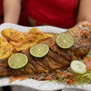 a person holding a plate of food