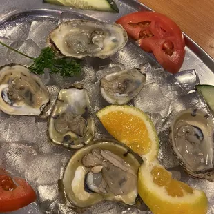 a platter of fresh oysters