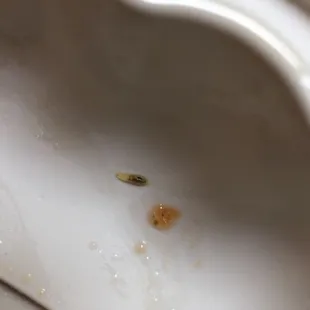 I wasn't able to post the video but yeah here it is :(