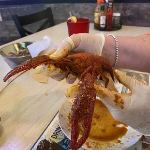 a person holding a lobster