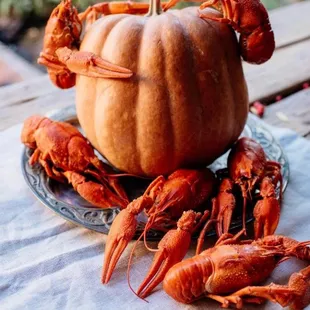 lobsters and a pumpkin on a plate