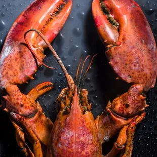 two lobsters on a black surface