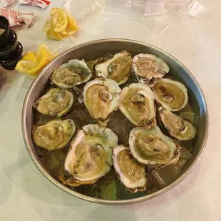 Raw Oysters