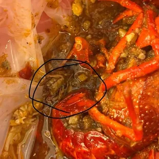 Roach found in food.